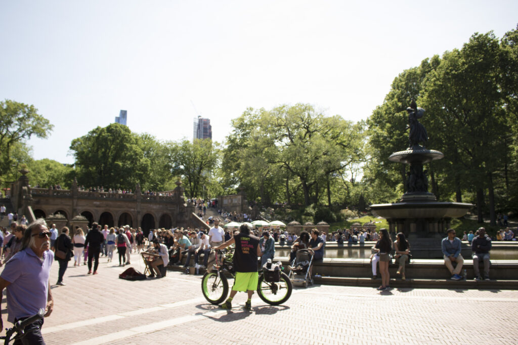 Drukte in Central Park